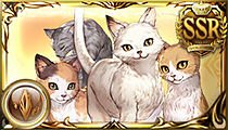 Cat Parade